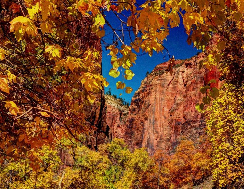Photo by Richard W. Baker